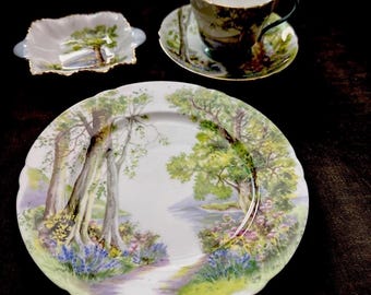 SHELLEY 4PC SET Tasse Untertasse butter teller Trinket Dish WOODLAND