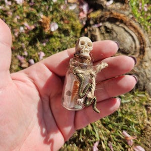 May include: A small glass bottle with a cork stopper topped with a white skull. The bottle contains a small snake, seashells, and other small objects.