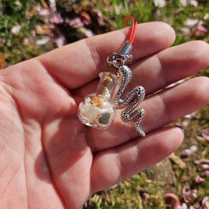 May include: A small glass bottle charm with a silver snake charm attached. The bottle is filled with small white and brown stones. The charm is attached to a red string.