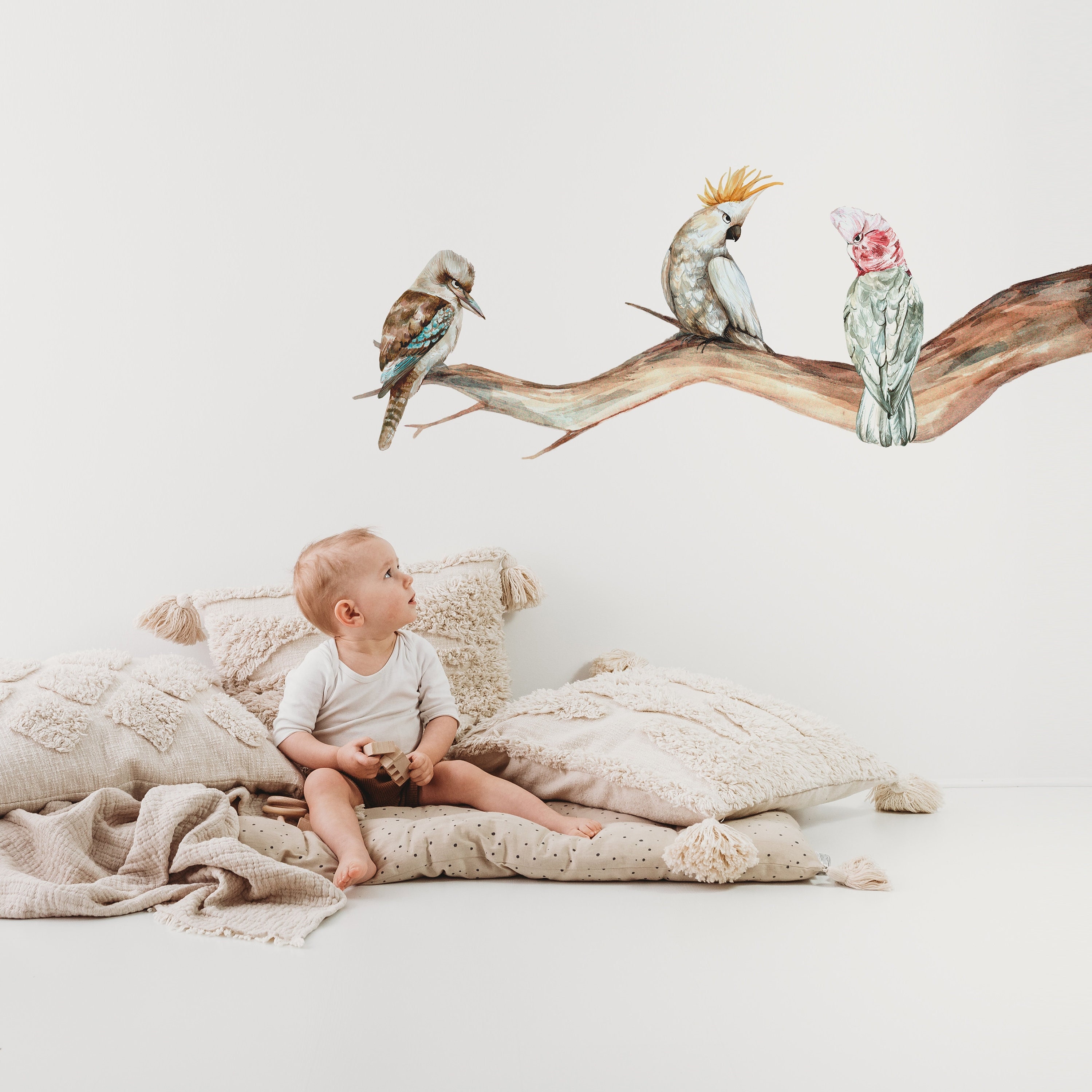 Australian Birds / Australian Wall Decal / Branch and Birds / Etsy