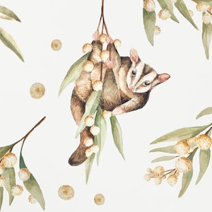 Sugar Glider Decal / Australian Animals / Wall Stickers / Wall Art / Nursery / Kids Bedroom / Decor
