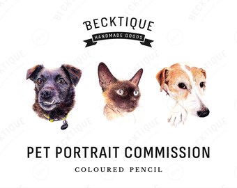 Commission a Pet Portrait by Shea Beck - Colour Pencil Pet Portrait, Gift, Pets, Art.