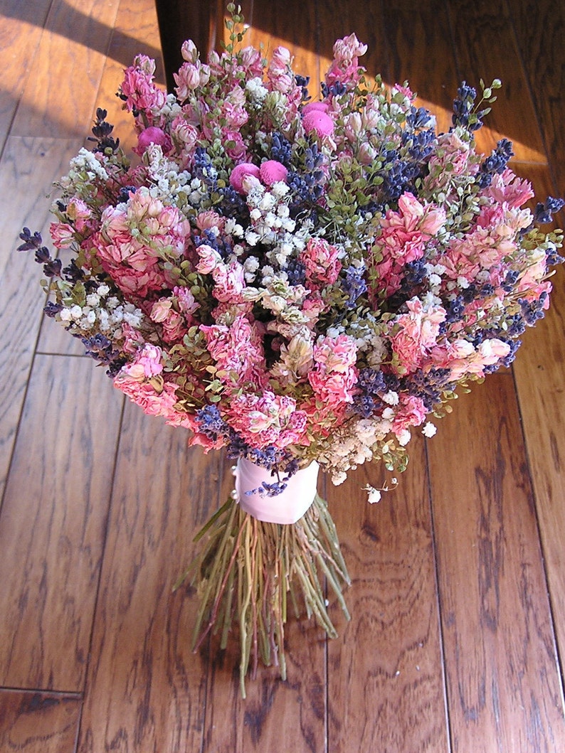 flores spress flores spress