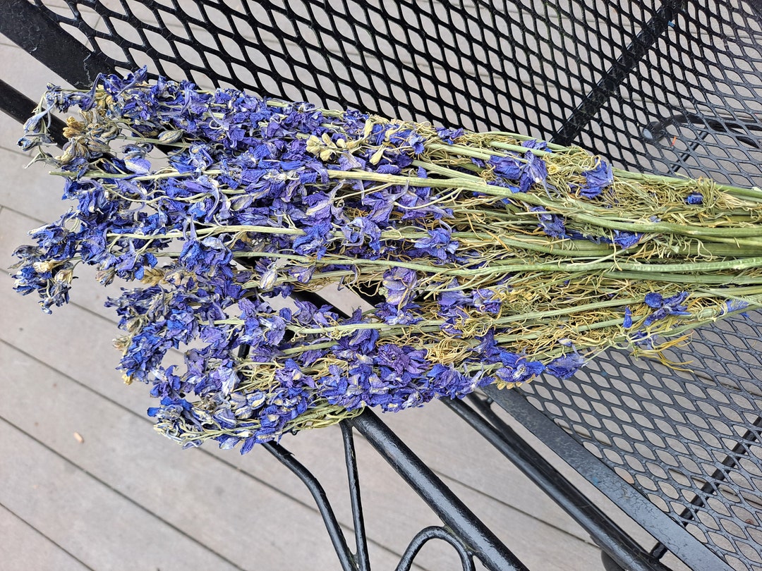 Blue Dried Larkspur Bunch of Larkspur Larkspur for Wedding Etsy