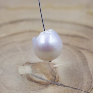 Pu&ograve; includere: Una singola perla, bianco-avorio, con una forma irregolare. Un sottile filo scuro attraversa la perla, sospesa su uno sfondo di legno sfocato. La perla ha una sottile iridescenza.
