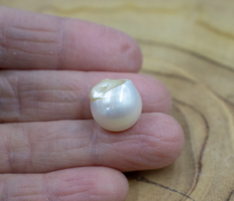 Pu&ograve; includere: Un'unica perla bianca, dalla forma leggermente irregolare. La perla ha una superficie liscia e riflettente, con una piccola area testurizzata sulla parte superiore. La perla &egrave; tenuta in una mano, mostrando le sue dimensioni e il suo colore.