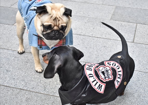 dog leather biker vest