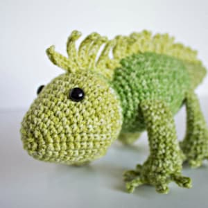 May include: A green and yellow crocheted iguana toy with black eyes. The iguana has a spiky back and a long tail.