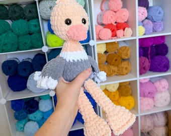 Plush Ostrich Crochet Amigurumi Pattern