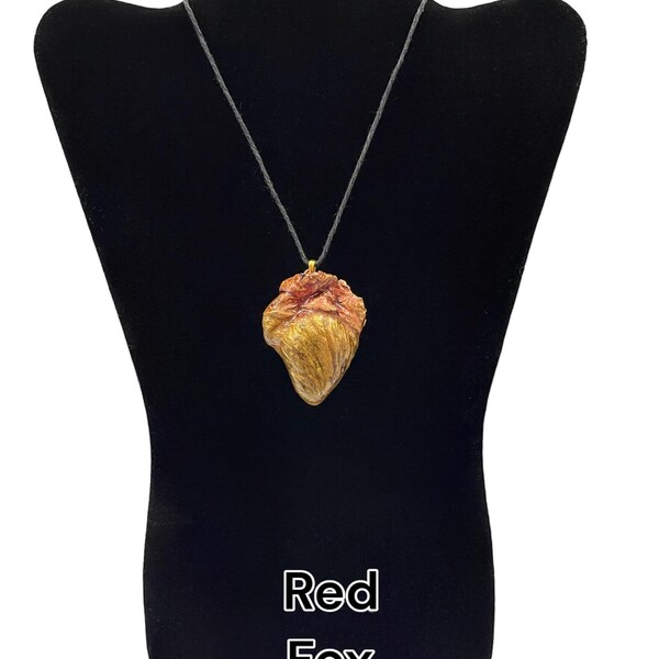 Real Preserved Anatomical Fox/Rabbit/Coyote Heart Pendant/Necklace - Unique Gift-