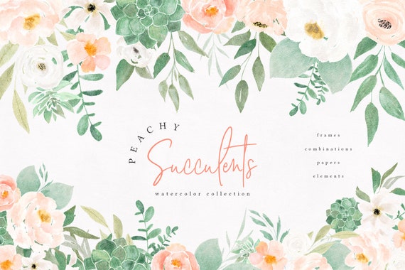Watercolor Peach Flowers Watercolor Succulents Watercolor Etsy