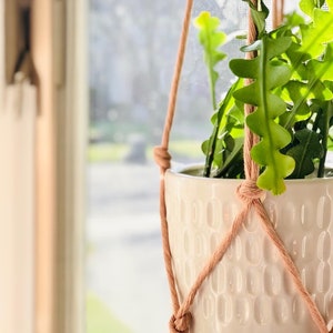 May include: A white ceramic hanging planter with a green cactus plant inside. The planter has a textured surface and is suspended by a macrame rope.