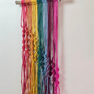 May include: A rainbow-colored macrame wall hanging. The piece is suspended from a natural wooden branch. The colors include red, orange, yellow, green, blue, purple, and pink. The macrame features knotted details.