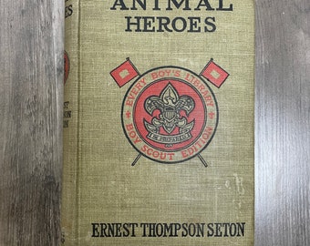 Animal Heroes blank sketchbook upcycled