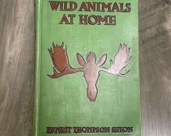 Wild Animals at Home blank sketchbook upcycled