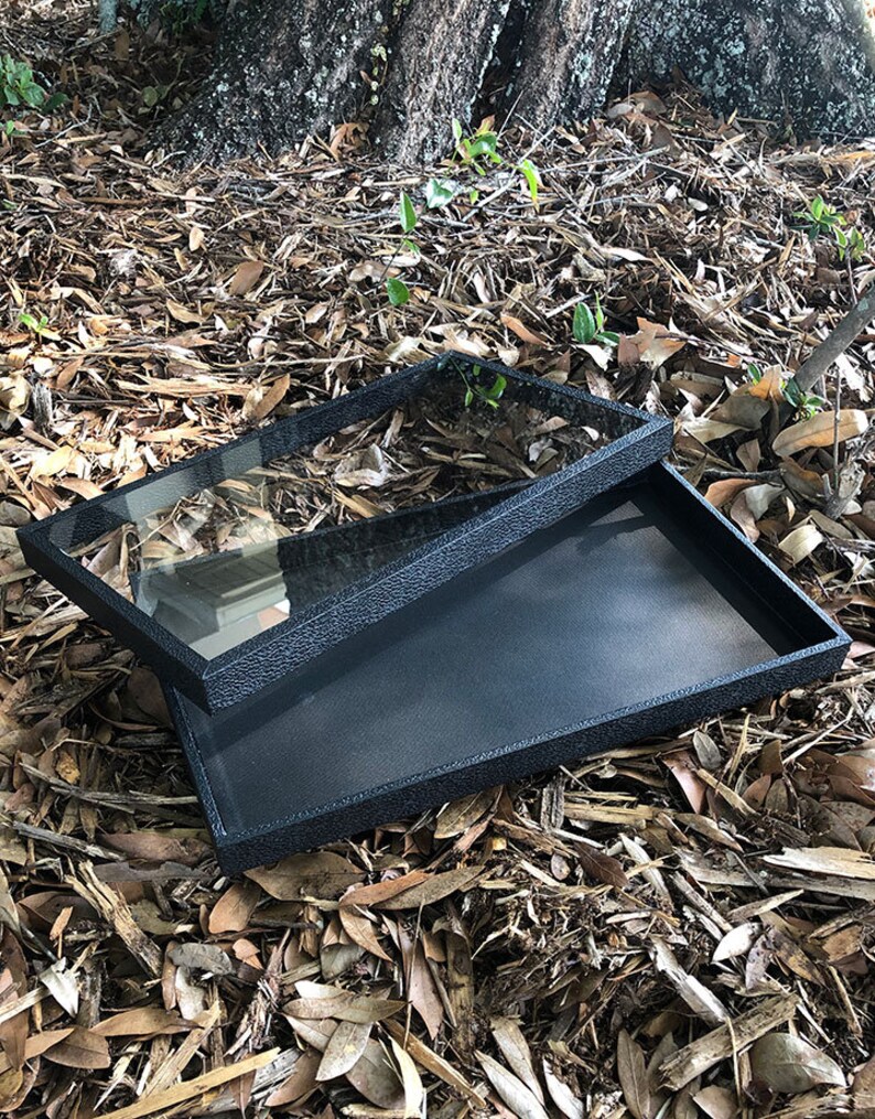 May include: Two black trays with a textured finish. The top tray has a clear glass insert. The trays are on a bed of brown leaves.