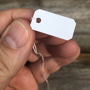 May include: A white rectangular tag with a hole in the top and a string attached.