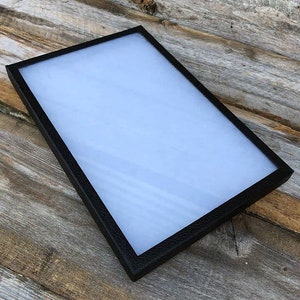 Riker Style Display Tray 12&quot; x 8&quot; x 3/4&quot; (DIS1202)