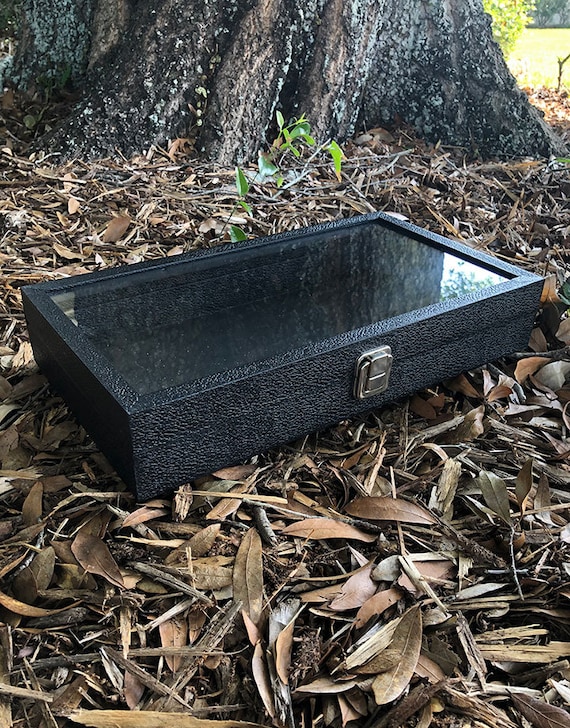 Jewelry Tray with a Hinged See Through Lid 1-1/2'' Deep (DTR1401)