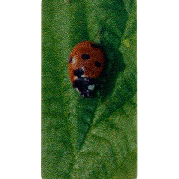 Aluminum Printed Rectangle Embellishment Lady Bug 5/8"x1-1/4" (Pkg/4) (EB42127) **CLOSEOUT**