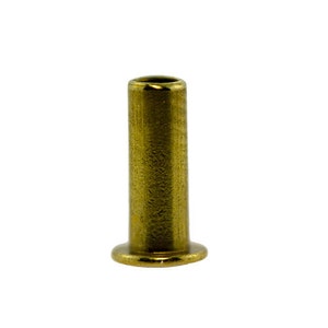 May include: A gold-colored metal rivet with a cylindrical body and a flat, circular head.