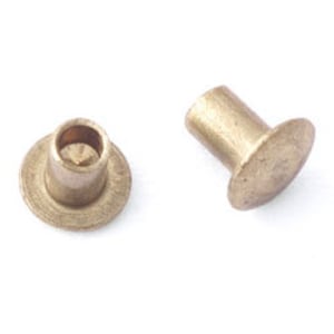 May include: Two brass rivets with a flat head and a round shank. The rivets are used for fastening materials together.