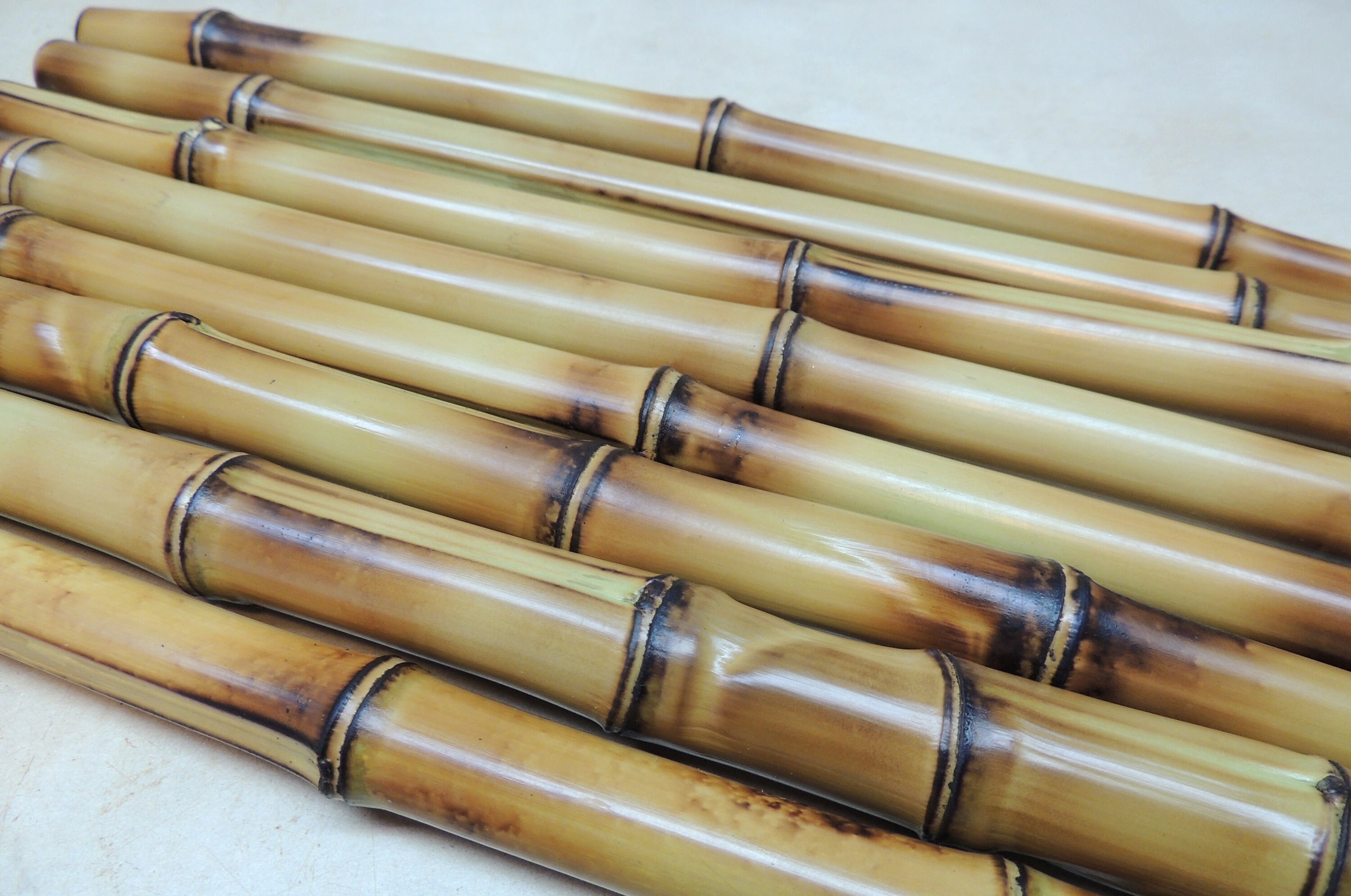 8 Super Thick Heat Treated Golden Bamboo pieces 12 long Etsy