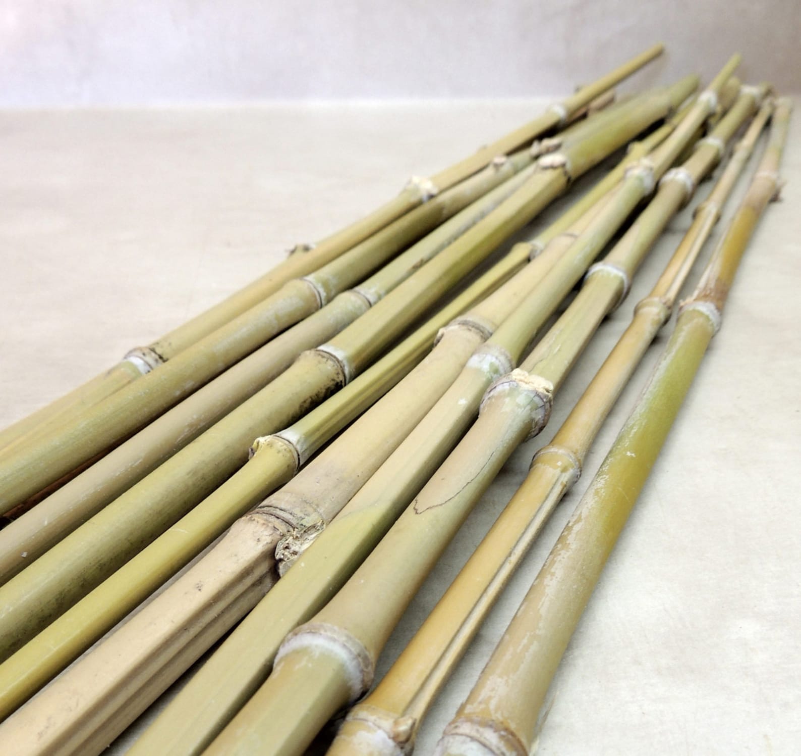 12 Golden Bamboo Pieces 24 Long for Decor Vase Item Etsy
