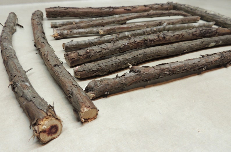 12 Cedar Sticks 12 Long for Crafting Crafting Twigs | Etsy