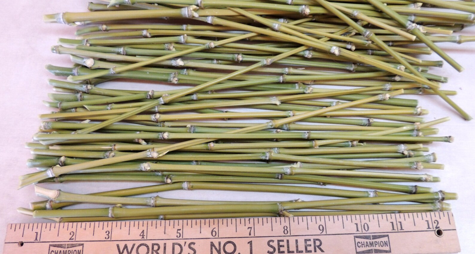 Lot of 24 Golden Bamboo Sticks 12 long for Crafting Etsy