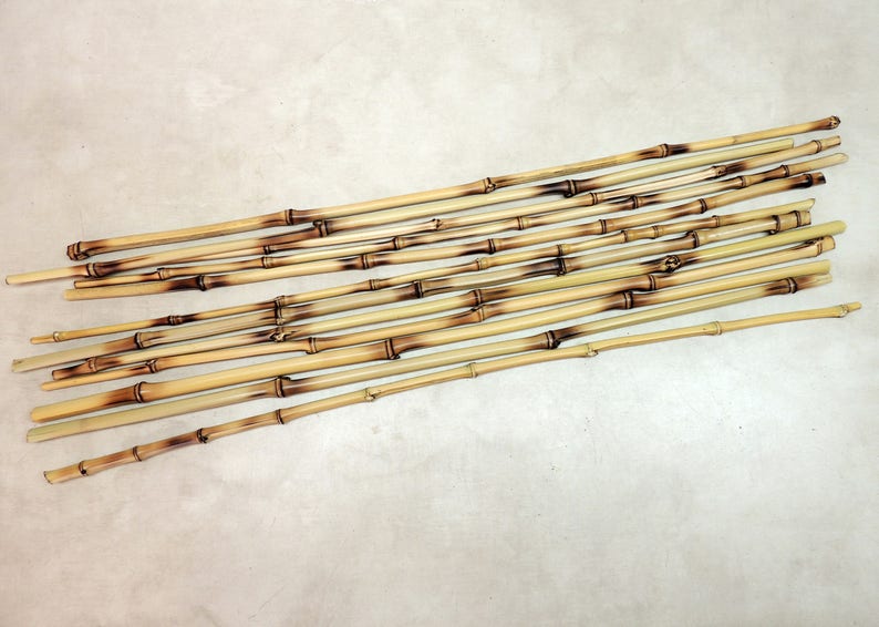 12 Heat Treated Golden Bamboo 24 long for Decor Vase image 1