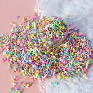5g Pastel Polymer Clay Faux Rainbow Sprinkles
