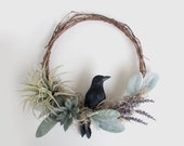 Gothic Halloween Grapevine Wreath with a Black Raven Crow Bird, Air Plant, Lavender and Lambs Ear, 9 Inch