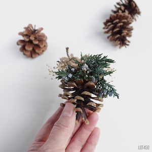 Christmas Decorations, Christmas Tree Ornament, Pine Cone Ornament, Natural Rustic Woodland Holiday Decor, Preserved Evergreens, Dry Flower image 5