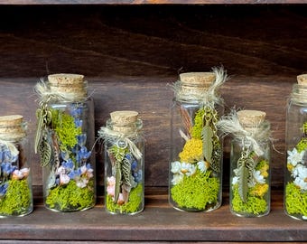 Mini Jar Terrarium, Herbarium with Moss and Dried Flowers and Herbs, Wedding Favor