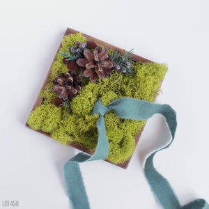 May include: A wooden box filled with green moss and pine cones, decorated with a teal ribbon.