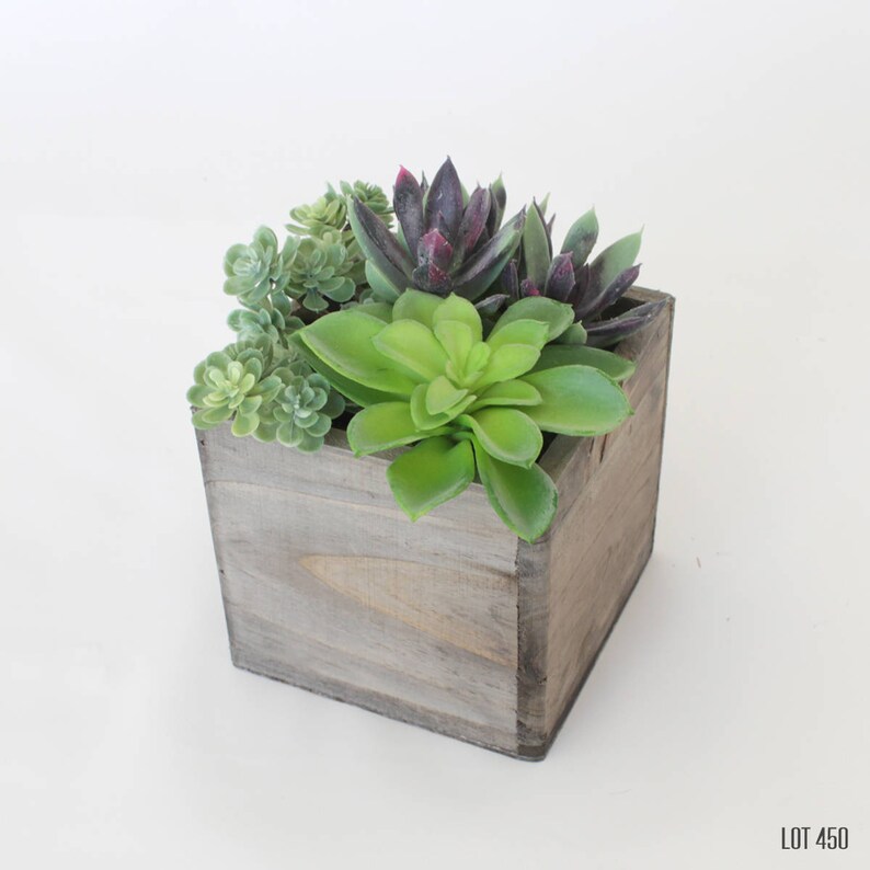 Succulent Planter Garden In Rustic Aged Wood Square Box