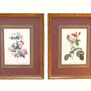 Pair of P. J. Redoute French Botanical Still Life Roses Framed Prints