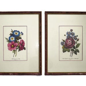 Pair of French P. J. Redoute Floral Lithographs Prints Morning Glories & Roses Floral Flowers