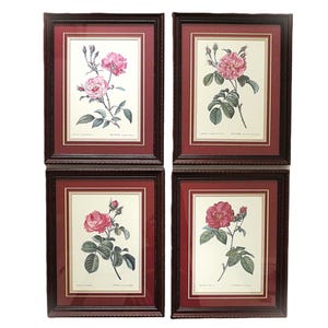 Set of 4 P. J. Redoute French Botanical Still Life Roses Framed Prints