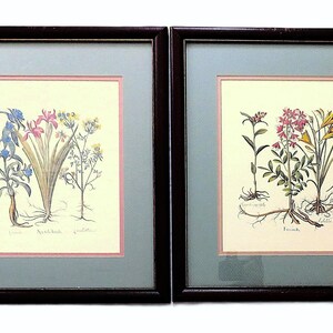 May include: Two framed botanical prints featuring detailed illustrations of various flowers. The prints are set against a cream background and have a light blue mat. The frames are dark brown wood.