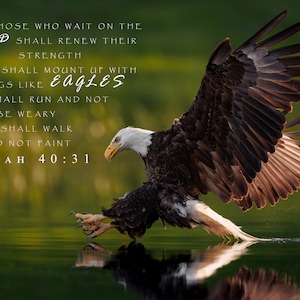 Eagle-Isaiah 40:31 Bible Verse Picture Harry Collins Original Artwork Wall art Home decor Living room Gifts