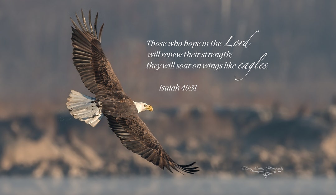 Eagle Wall Canvas Metal Acrylic Print Isaiah 40:31 Bible Verse Picture ...