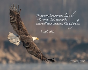Eagle-Isaiah 40:31 Bible Verse Picture