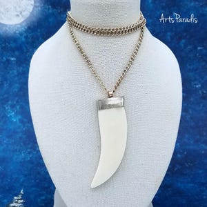 Könnte beinhalten: Halskette mit einem weißen, zahnförmigen Anhänger und einer silberfarbenen Metallkappe. Die Kette ist ebenfalls silberfarben. Präsentiert auf einer weißen Büste vor blauem Hintergrund.