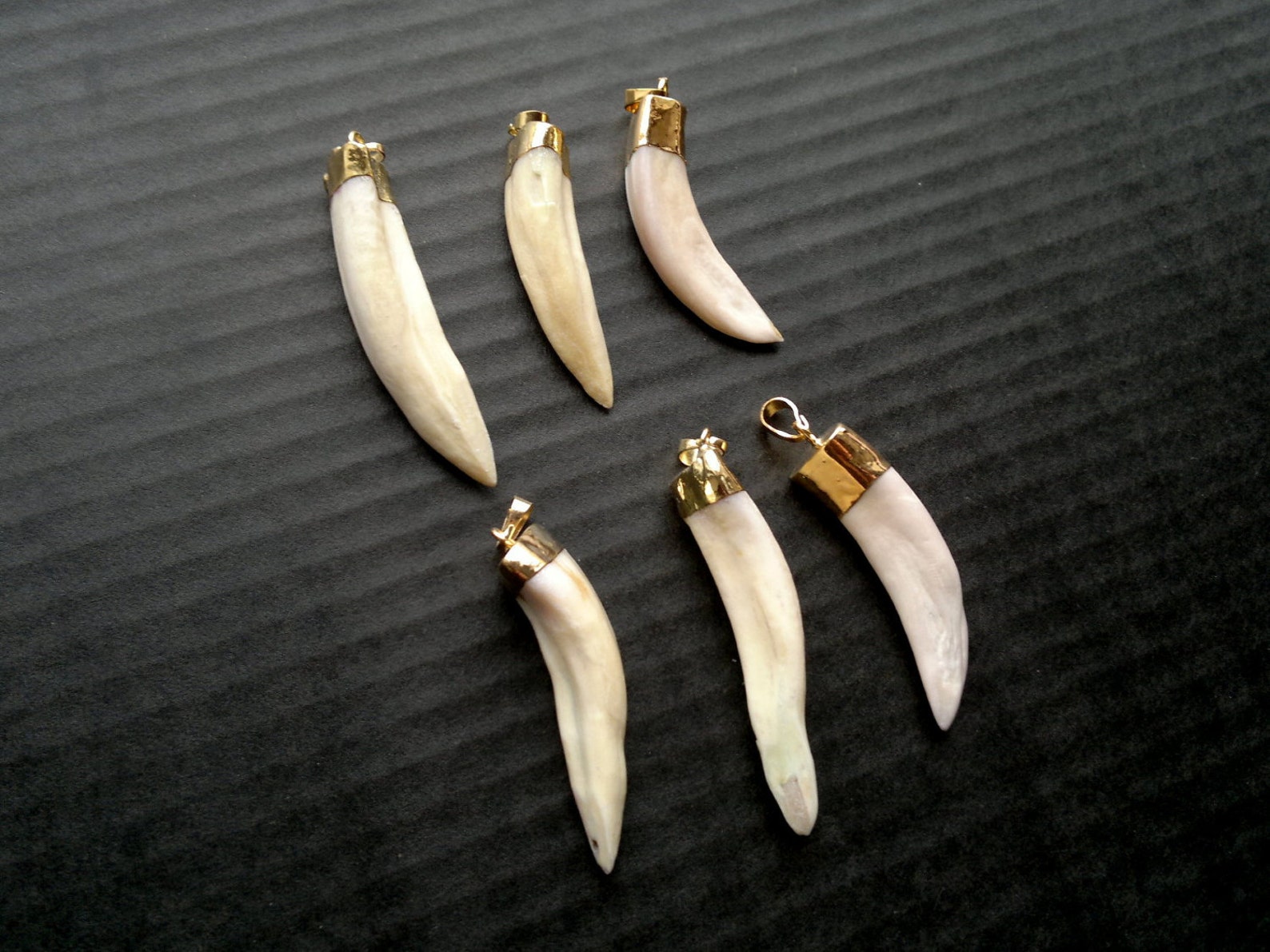 Wolf Tooth Necklace Real Tooth Jewelry Gold Dipped Tooth Etsy