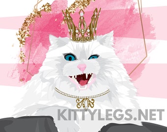 Moody & Vindictive Illustration