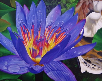 Water Lily Fine Art Print