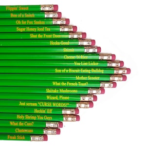 Offensils PG Rated Profanity Pencils by Wooden Shoe Designs| Set of 20 Pencils | Funny & Educational Pencils | Gag Gift