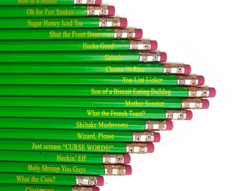 Offensils PG Rated Profanity Pencils by Wooden Shoe Designs| Set of 20 Pencils | Funny & Educational Pencils | Gag Gift